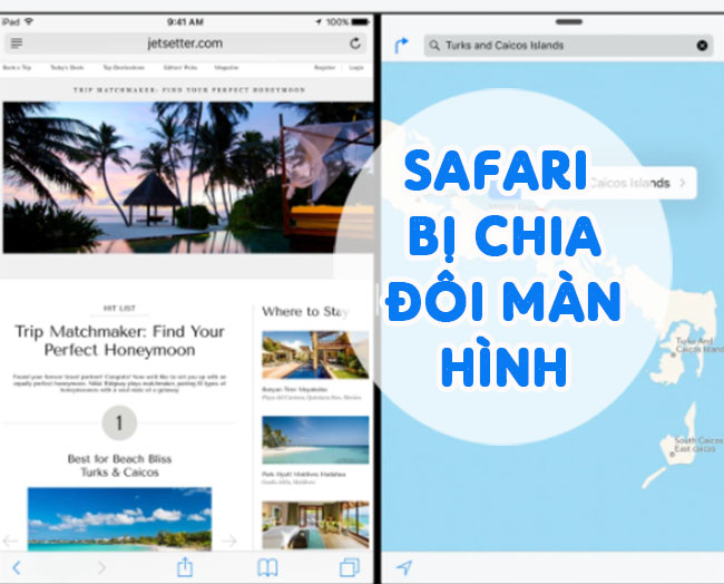Safari Has a Split Screen, How to Turn It Off? [Tips]: Complete Overview